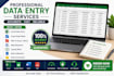 provide professional data entry services