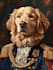 draw amazing pet portrait