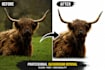 remove background from images professionally and fast