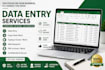 do accurate data entry typing and ms excel work