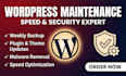 fix, maintain and speed up your wordpress website with security protection