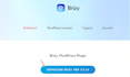 design a fast wordpress website using elementor pro, divi or brizy builder