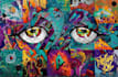 do abstract art, graffiti, illustration, and expressionism