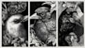 make pen and ink drawings