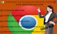 chrome extension promotion services, driving real user