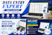 do accurate data entry, excel ,logo design, and web research