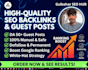 do high quality SEO backlinks and site audits