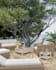create high end photorealistic 3d interior visualizations