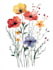 make botanical illustration, flower, plant