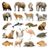 draw all kinds of animals