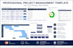 create a professional project management PPT template