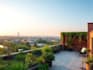 design landscape, front and back yard, rooftop, garden patio