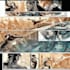 do comic book art and comic book illustration