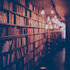professional book beta reader