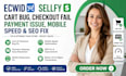 fix ecwid sellfy cart bug checkout error payment issue mobile SEO speed