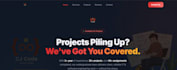 develop software, web, and ai projects with professional support