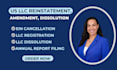 do us llc reinstatement, amendment, dissolution, close ein