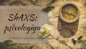 design professional canva presentations