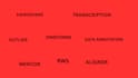 do transcription,manage outlier,data annotation mercor, rws and handshake ai