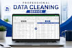 do professional data cleaning and excel data structuring