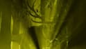 create a ark survival ascended creature mod