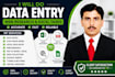 do data entry, copy paste, web research and excel tasks
