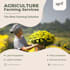 design instagram and facebook posts for social media