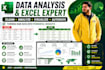 do data analysis, data cleaning and excel reporting