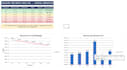 create professional excel dashboards with pivot tables