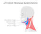 do 3d medical illustration