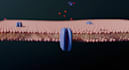 make any 3d animation you want