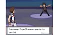 create pokemon style battle sprites, overworld sprites and animations