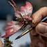 paint your warhammer models using pro miniature painting