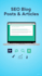 write SEO blog posts and articles