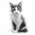 draw your pet into awesome scribble art
