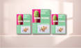 design a professional business flyer and brochure