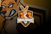 do make an eye catching kangaroo logo