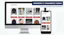 provide premium web development and programming