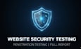 do professional penetration testing and vulnerability assessment for your websit