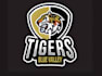 tiger woods fighter mascot logo design service