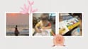 create videos and photos ugc