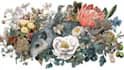 draw an animal and botanical illustration