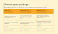 design a professional canva CV portfolio