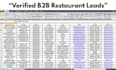 provide USA real estate b2b leads with verified emails
