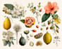 illustrate best botanical illustration