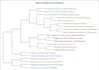 do qualitative data analysis using nvivo atlas ti and maxqda