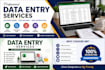 data entry and copy paste