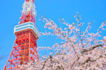 be your private tour planner and guide in tokyo