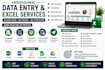 excel data entry, data cleaning, formulas and typing work