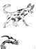 create a hand drawn creature or npc sketch